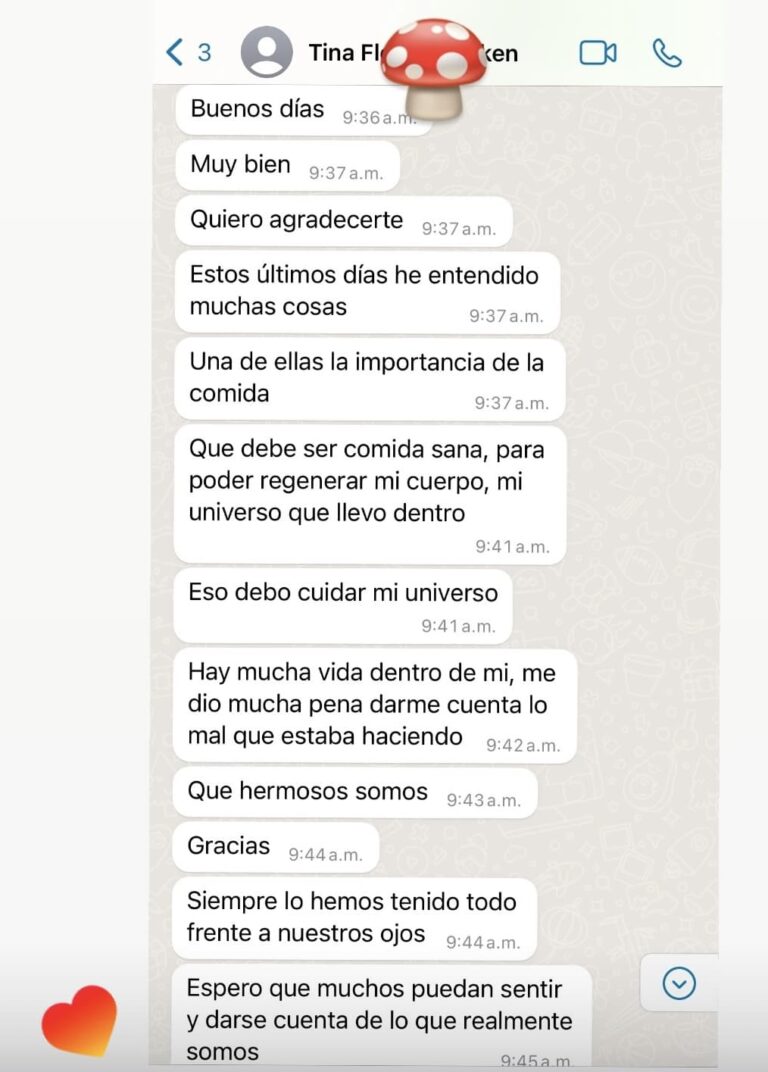 Inicio img 3185